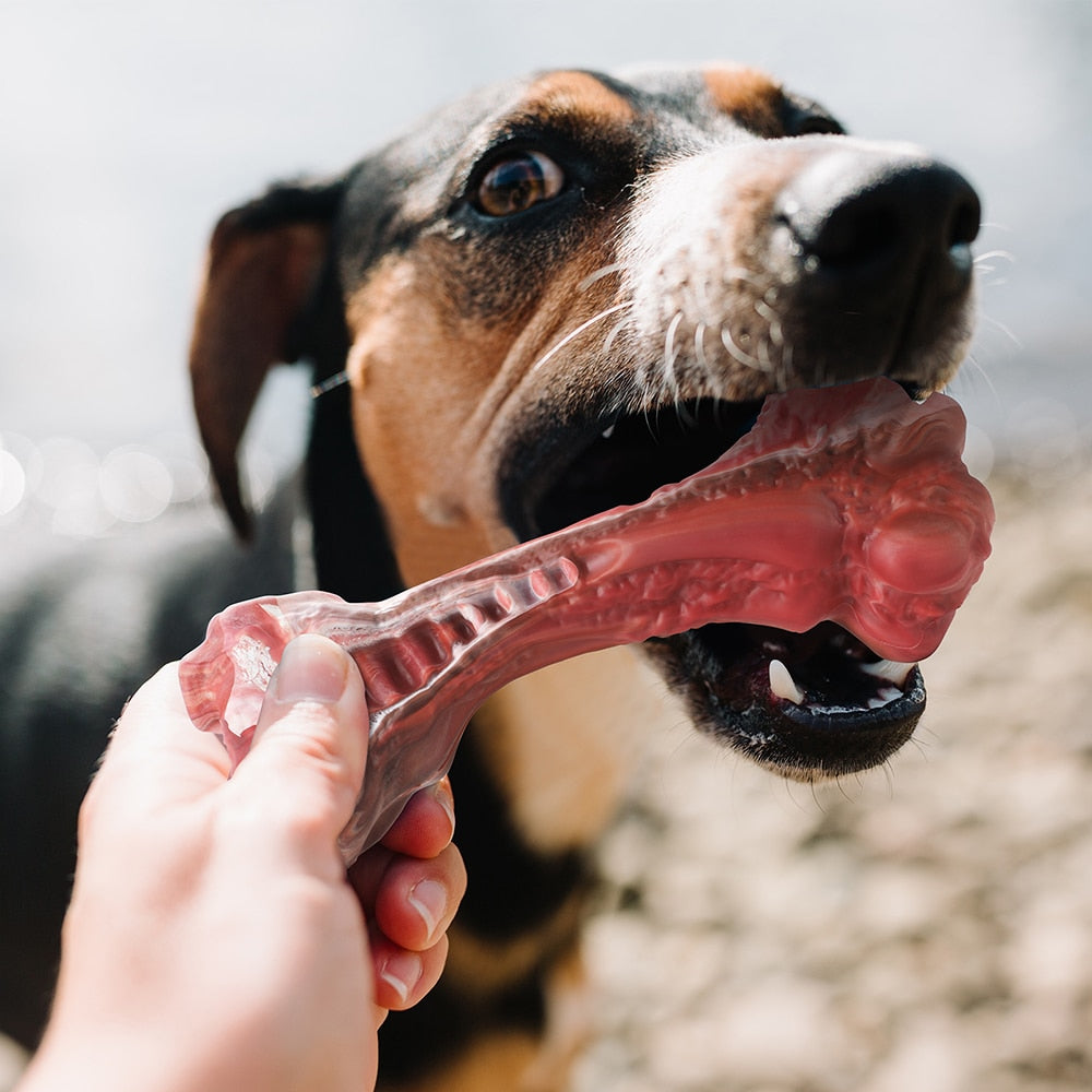 MASBRILL Dog Toys Aggressive Chewers Bone-Shaped Indestructible Toy - peacefulpluslounge